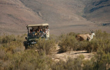 African Okapi Tours & Travel25