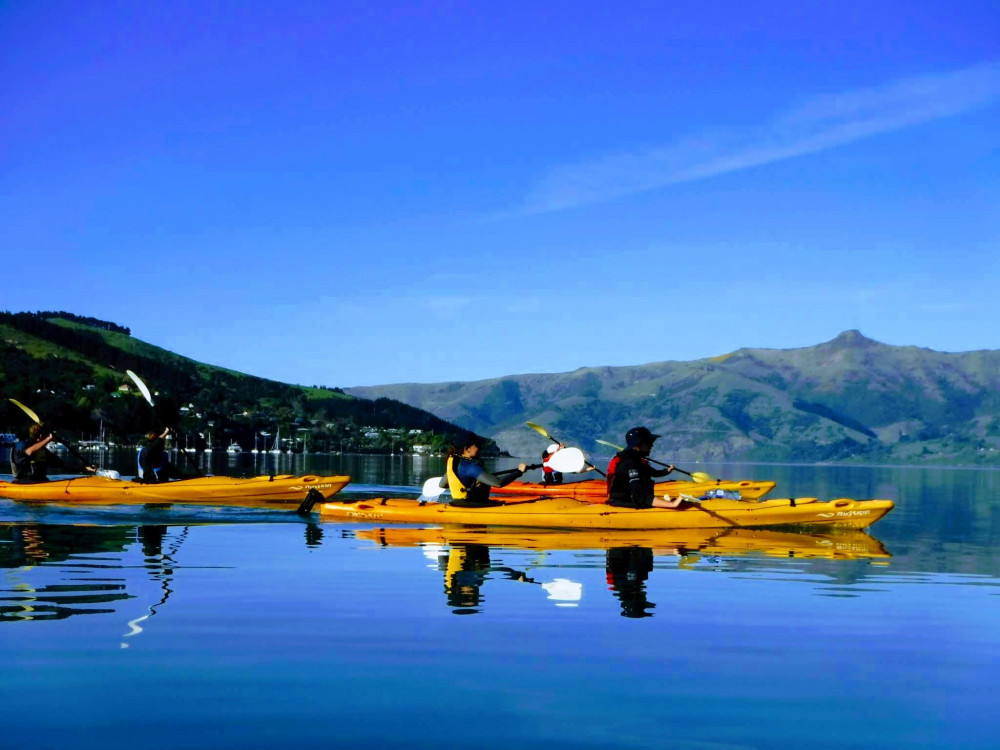 Private: Sunrise Kayak Excursion From Akaroa