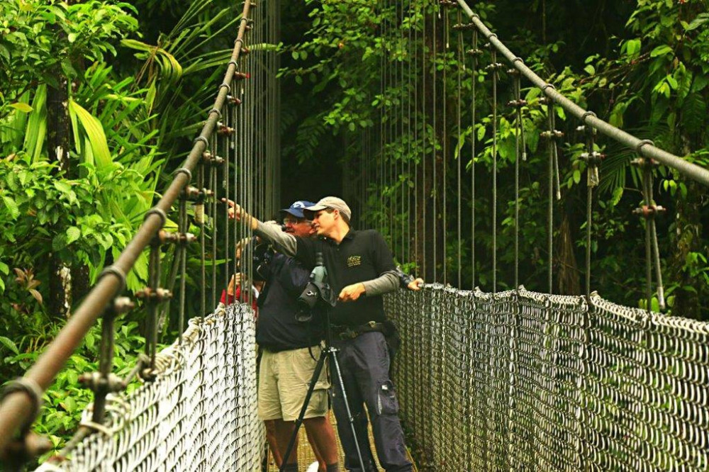 Private Mistico Hanging Bridges