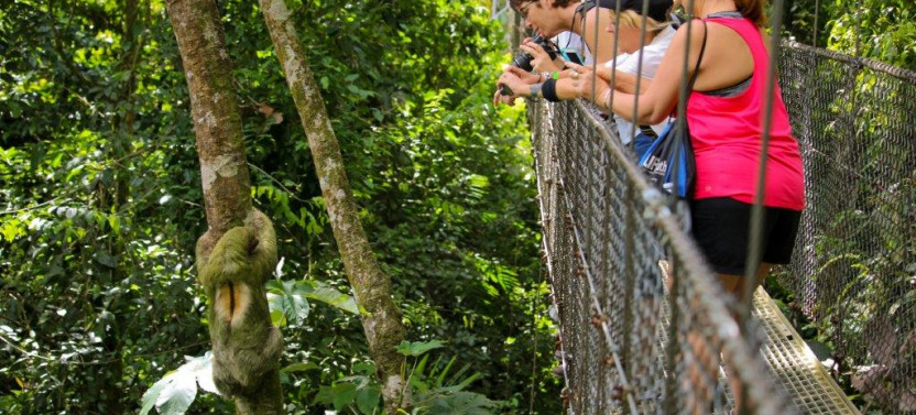 Private Mistico Hanging Bridges