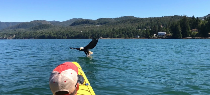 Kayak Eco-Tour