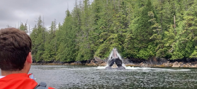 Kayak Eco-Tour