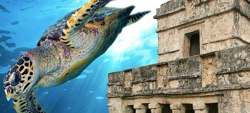 Tulum Ruins & Snorkeling with Sea Turtles Private Tour