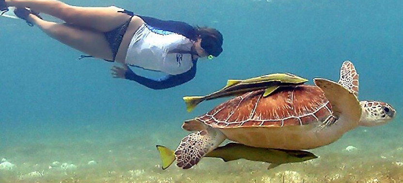 Tulum Ruins & Snorkeling with Sea Turtles Private Tour