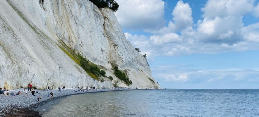 Møns Klint and The Forest Tower - A Day Tour from Copenhagen