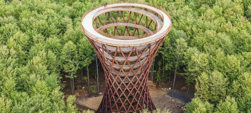 The Forest Tower and Forgotten Giants-A Day Tour from Copenhagen