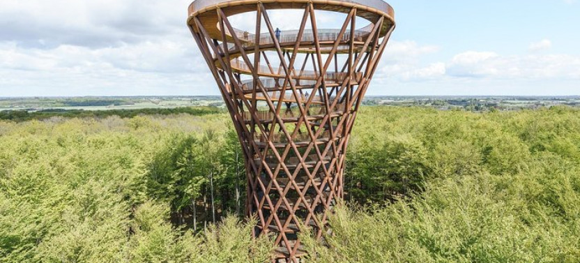 The Forest Tower and Forgotten Giants-A Day Tour from Copenhagen
