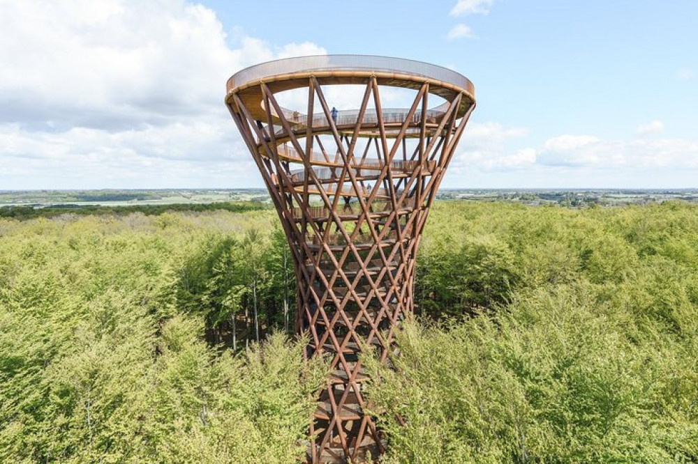 The Forest Tower and Forgotten Giants-A Day Tour from Copenhagen