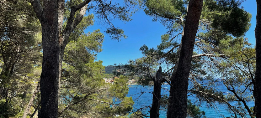 Private Costa Brava Villages Day Trip, photo 3 of 3