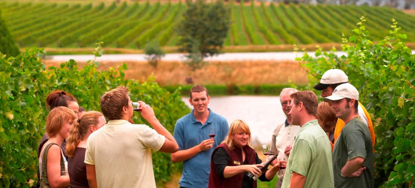 Yarra Valley Wine Experience - All Inclusive!