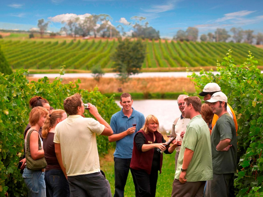 Yarra Valley Wine Experience