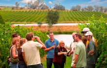 Australian Wine Tour Company1