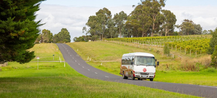 Yarra Valley Wine Experience - All Inclusive!