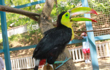 Roatan Adventure Tours3