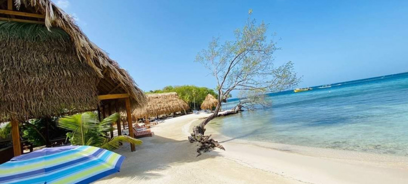 Zip, Snorkel & Meet Wildlife: Roatan’s Adventure Experience