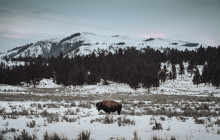 Good Trip Adventures - Rocky Mountains2