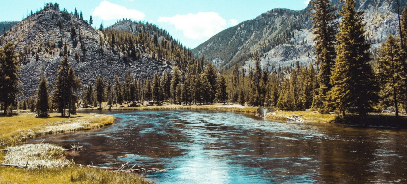 Small Group Full-Day Yellowstone Group Tour and Hike from Gardiner