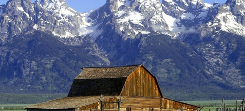 Private Full-Day Wildlife & Scenic Tour of Grand Teton National Park