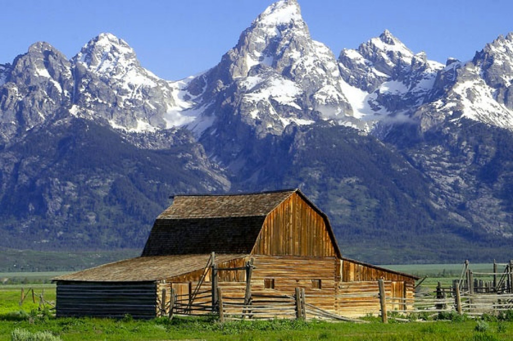 Private Full-Day Wildlife & Scenic Tour of Grand Teton National Park