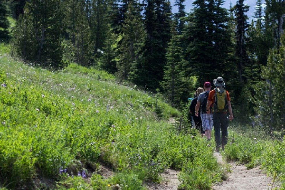 Small Group Olympic National Park Coastal & Hoh Rainforest Tour