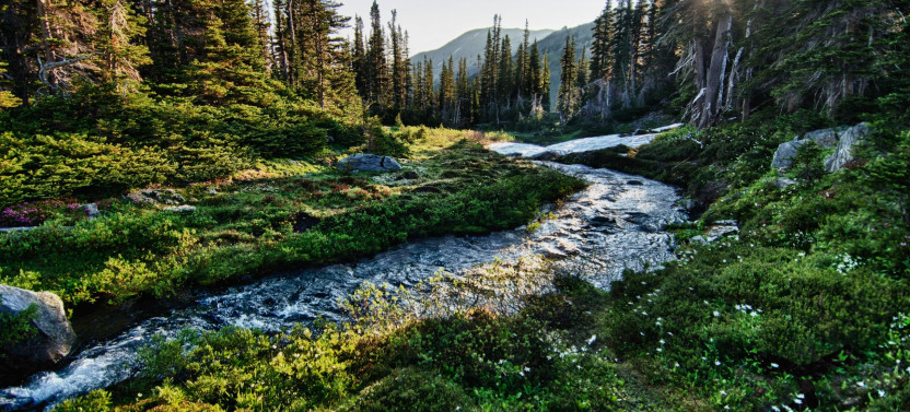 Private Full-Day Hiking Adventure in Olympic National Park