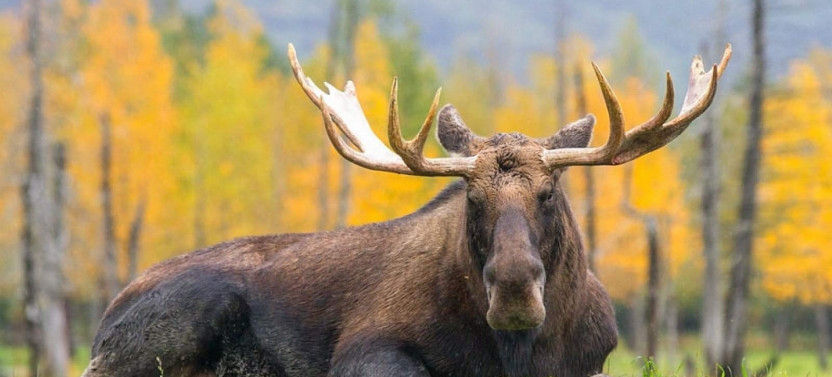 Private Full-Day Hiking Adventure in Denali National Park
