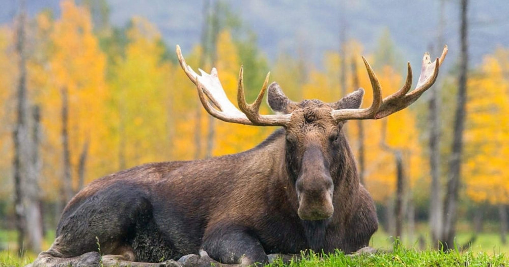 Private Full-Day Hiking Adventure in Denali National Park