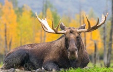 Good Trip Adventures - Pacific Northwest1