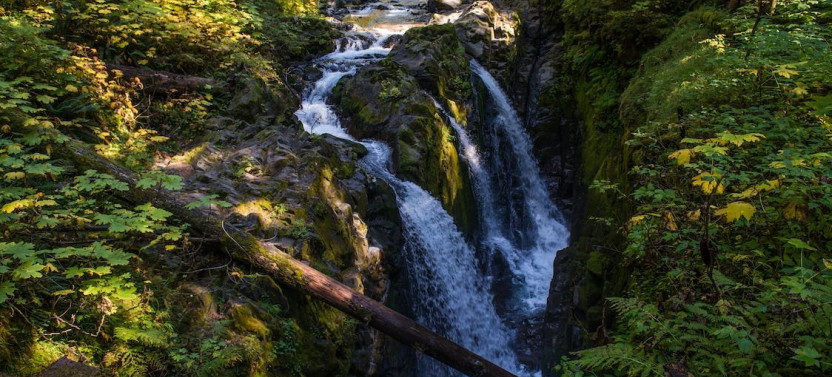 7 Days Washington Olympics and Cascades Adventure