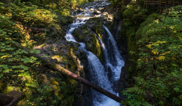 A picture of 7 Days Washington Olympics and Cascades Adventure