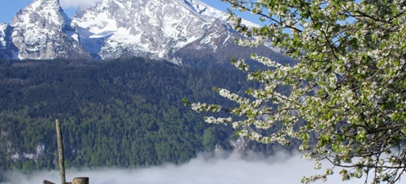 Bavarian Mountains Tour from Salzburg