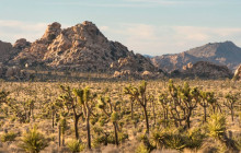 Good Trip Adventures - California1