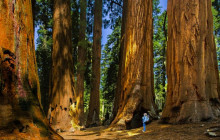 Good Trip Adventures - California1