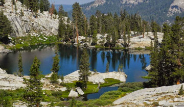 A picture of Two-Day Private Hiking Tour of Sequoia & Kings Canyon National Parks