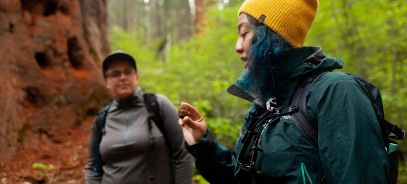 Small Group Full-Day Yosemite Valley Tour with Scenic Hikes
