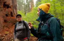 Good Trip Adventures - California1