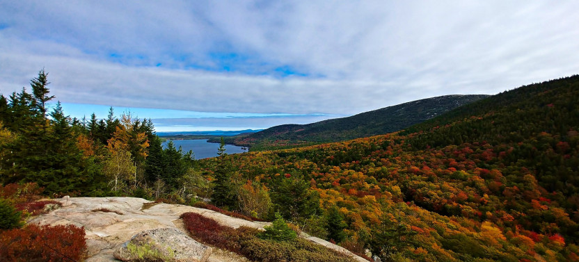 Full-Day Small Group Land & Sea Tour with Hike in Acadia National Park