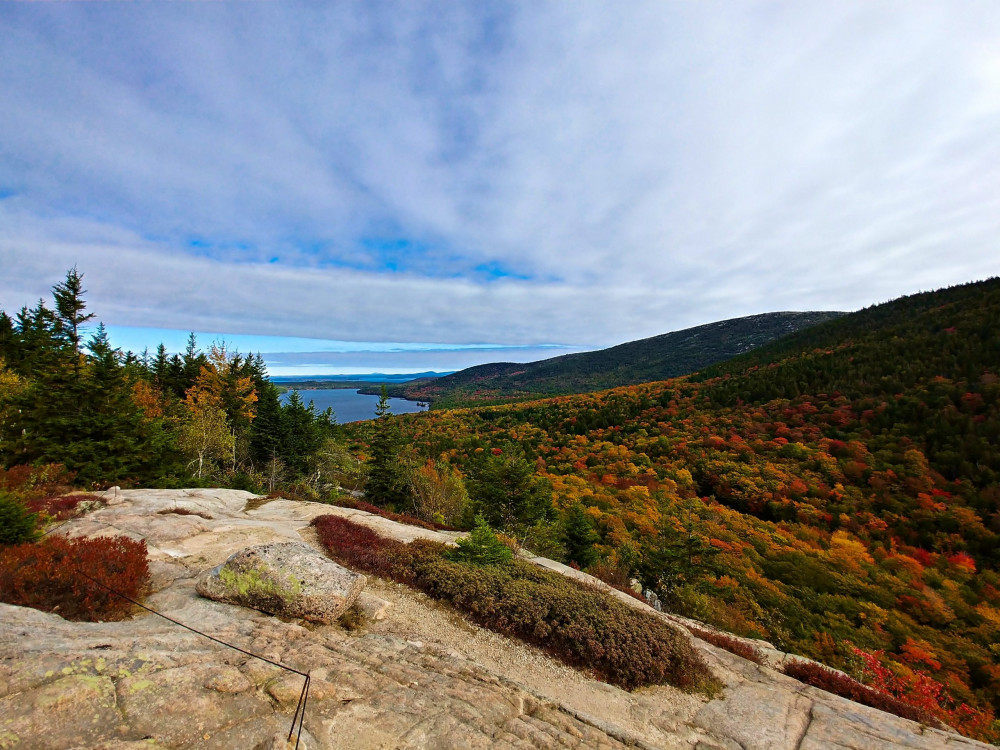 Full-Day Small Group Land & Sea Tour with Hike in Acadia National Park