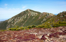 Good Trip Adventures - East Coast1