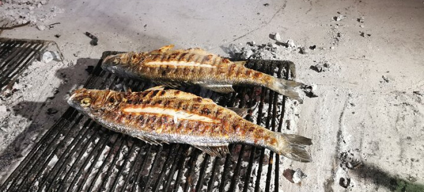 My Private Dubrovnik Gastro and Wine Tour