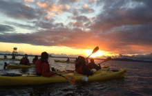 Alki Kayak Tours1