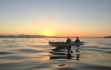 Alki Kayak Tours2