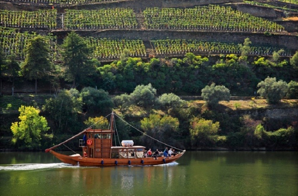 private douro valley wine tour from porto