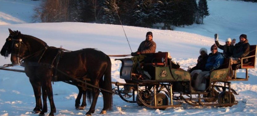 Alpine Horse Carriage Ride from Salzburg