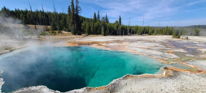 5 Day Yellowstone & Grand Tetons National Parks In Depth - Hotel Based