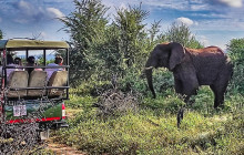 Savannah Adventures2