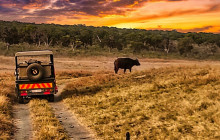 Savannah Adventures6