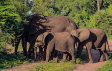 Savannah Adventures7