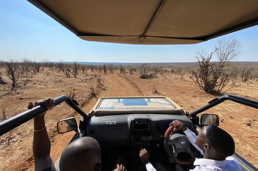 Guided Safari In Zambezi National Park In 4x4 Safari Jeep