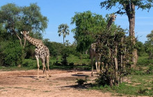 Savannah Adventures4